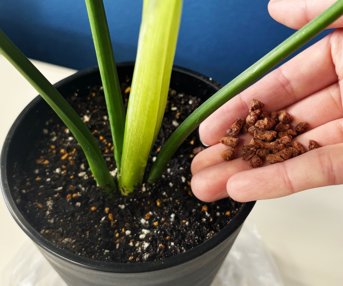 アミノくん使用